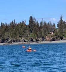 Kayak -Ocean Single Necky/Castine 14 ft W/ Rudder includes spray skirt, paddle, pfd, bilge pump