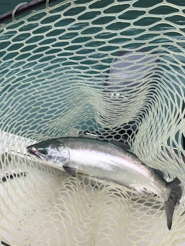 Chestwader Rental Alaska Anchorage, Fishing Wader Rental, Fairbanks