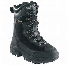 baffin endurance