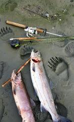 Fly Rod Reel - 8WT Economy 2 PIECE No Case