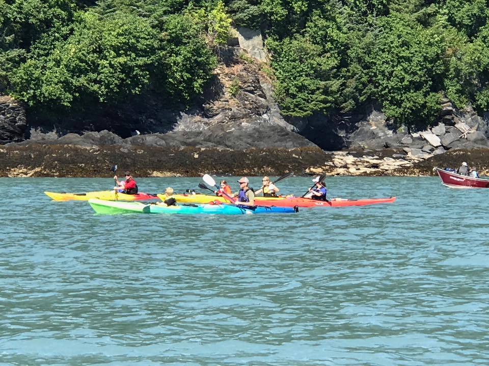 Kayak - Ocean Day Touring Single - Necky Looksha 12 FT Sprayskirt, Paddle, PFD, Throwbag, Bilge Pump