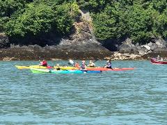 Kayak - Ocean Day Touring Single - Necky Looksha 12 FT Sprayskirt, Paddle, PFD, Throwbag, Bilge Pump