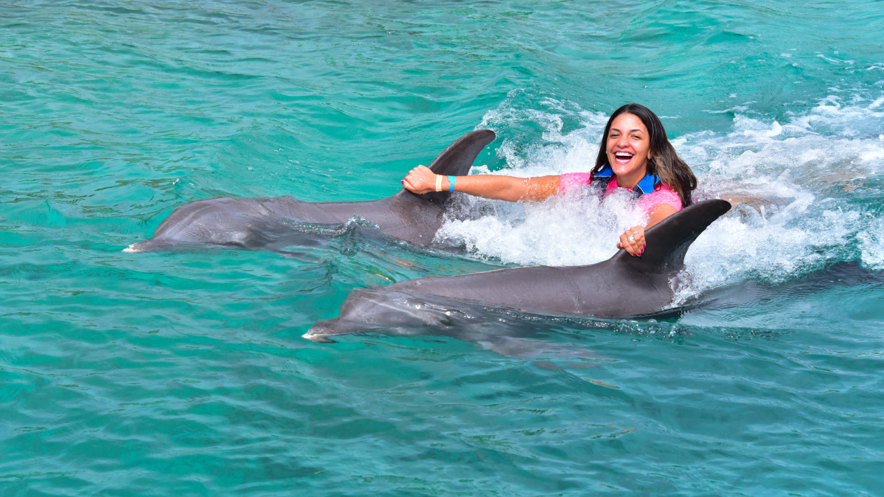 Dolphin Action Swim