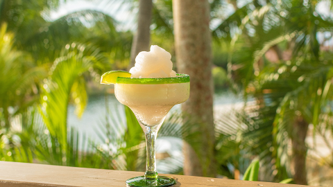 24630c98364e4d6fb270f2fac69023ef10