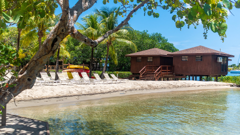 34ea64783bb746568120c7f6c90595c23