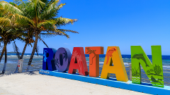 A Taste of Roatan Rum and Chocolate Factory Tour