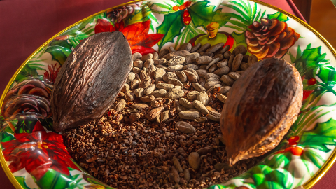 9b0e79c9f1e14db8a17496eb477381724