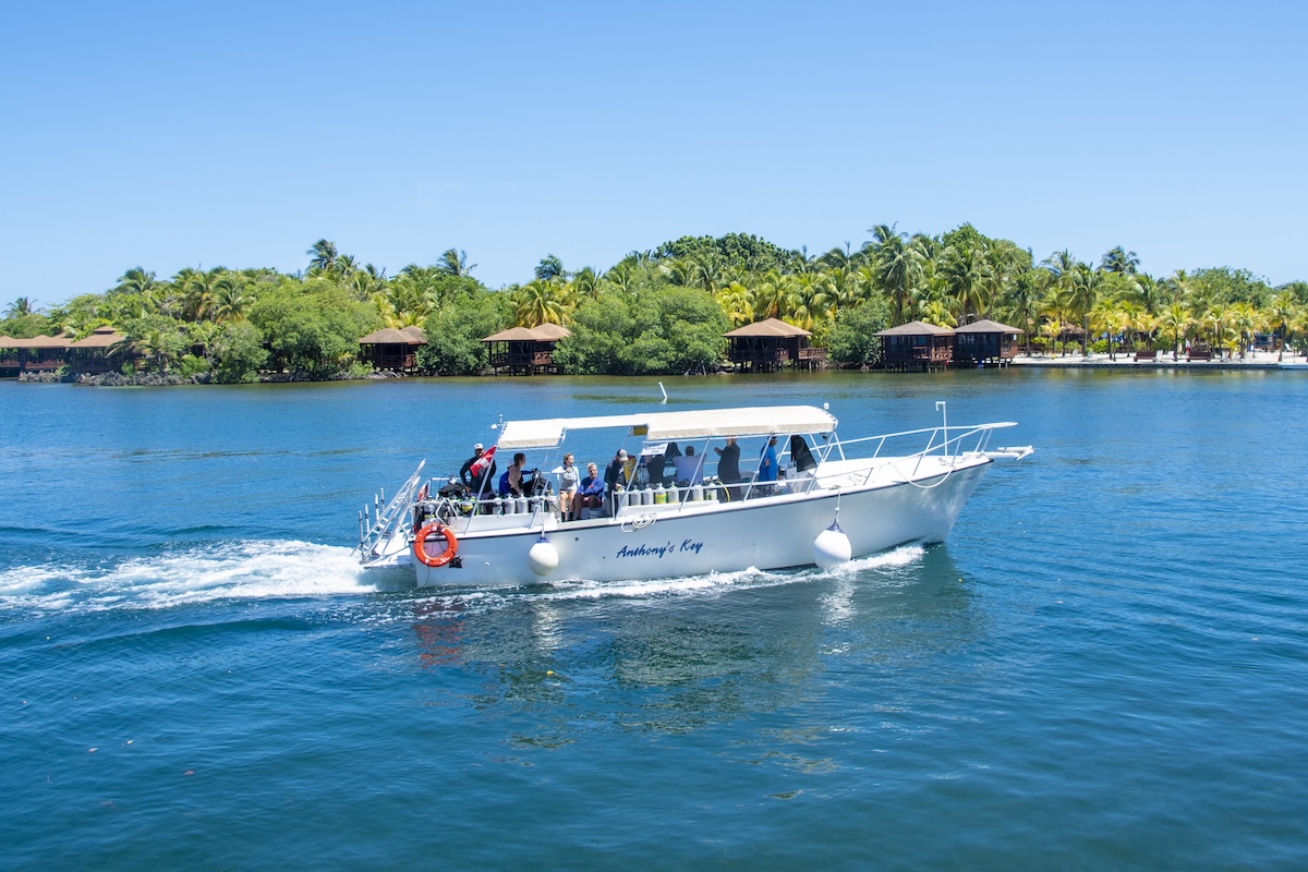 Nicolas Dive Boat