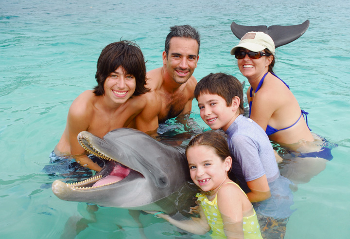 Dolphin Encounter