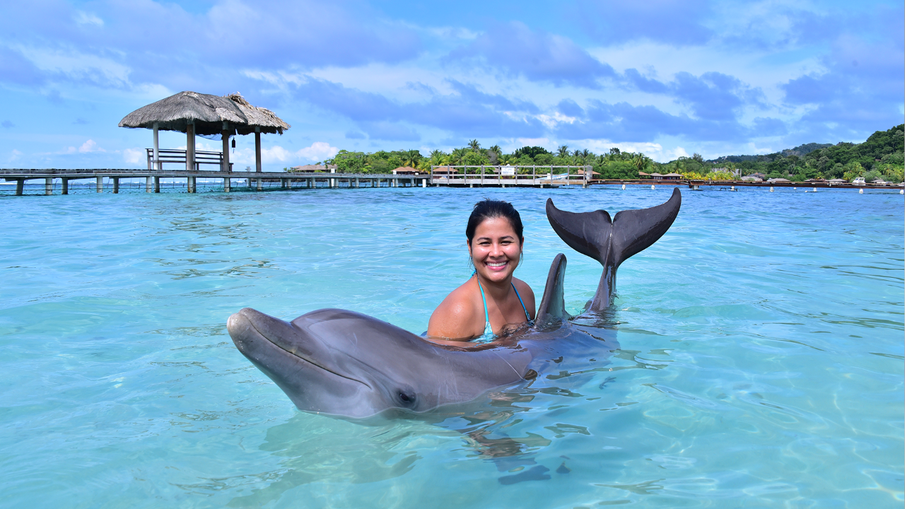 Dolphin Encounter