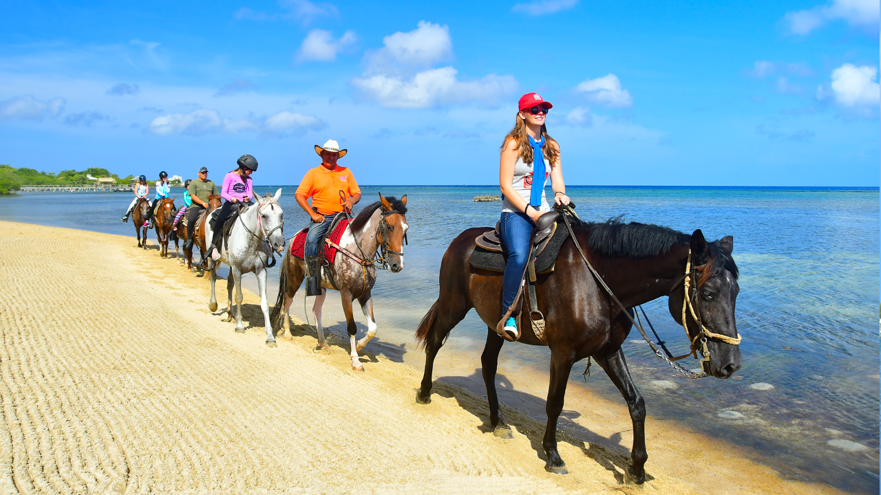 Horseback Ride