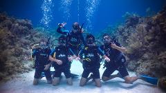 Dolphin Scuba Summer Camp 