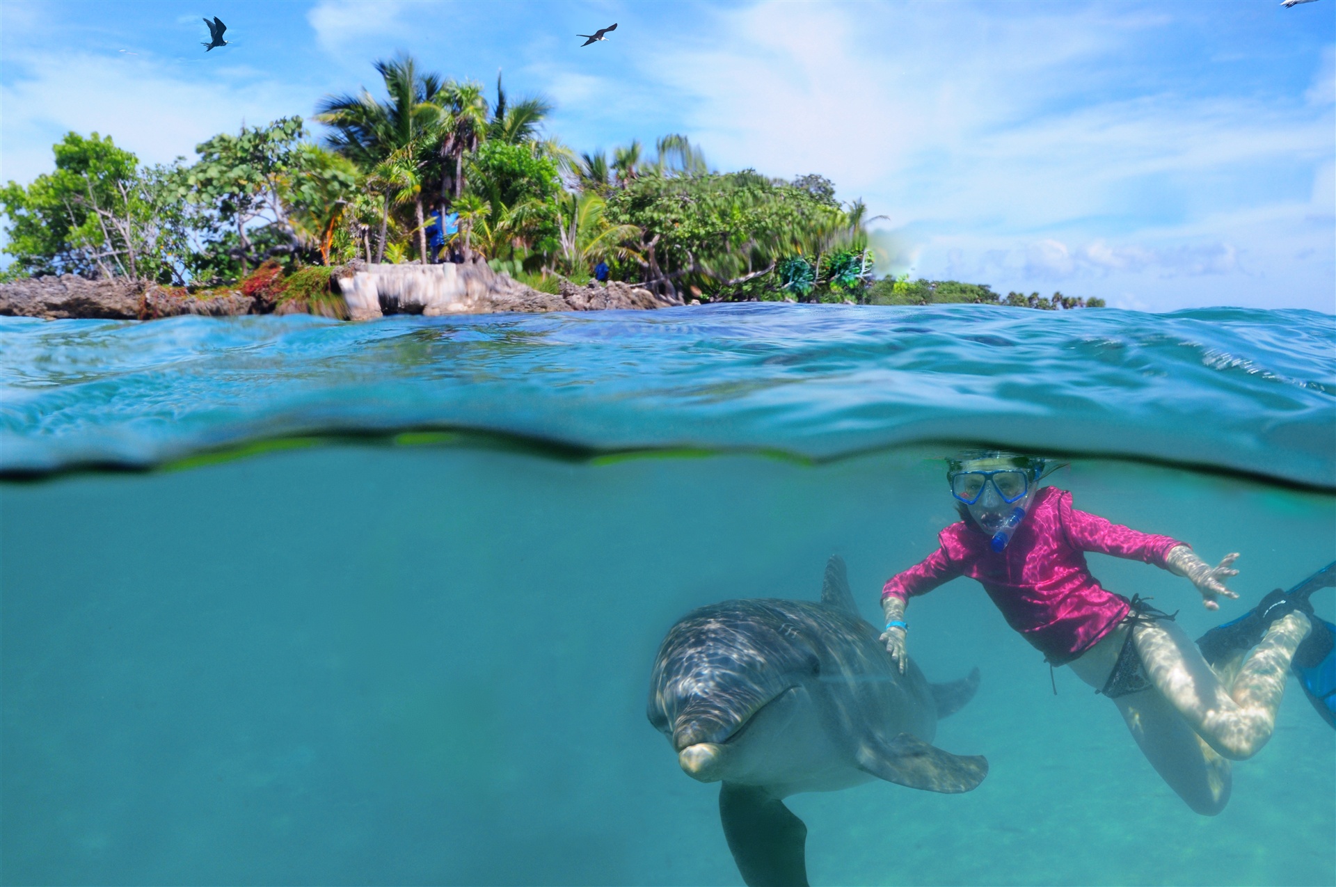 Dolphin Swim & Snorkel