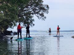 SUP BOOTCAMP FOR NEWBIES (4 SESSIONS)