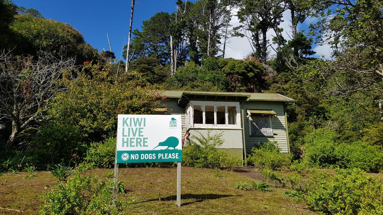 Kawau Island Weekend Retreat