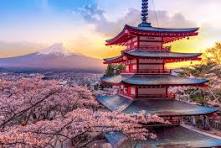 2025 Japan Cherry Blossom Tour 