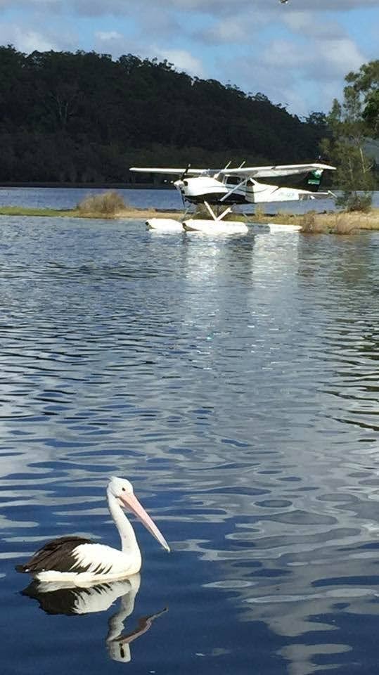Smiths Lake Experience Seaplane Flight
