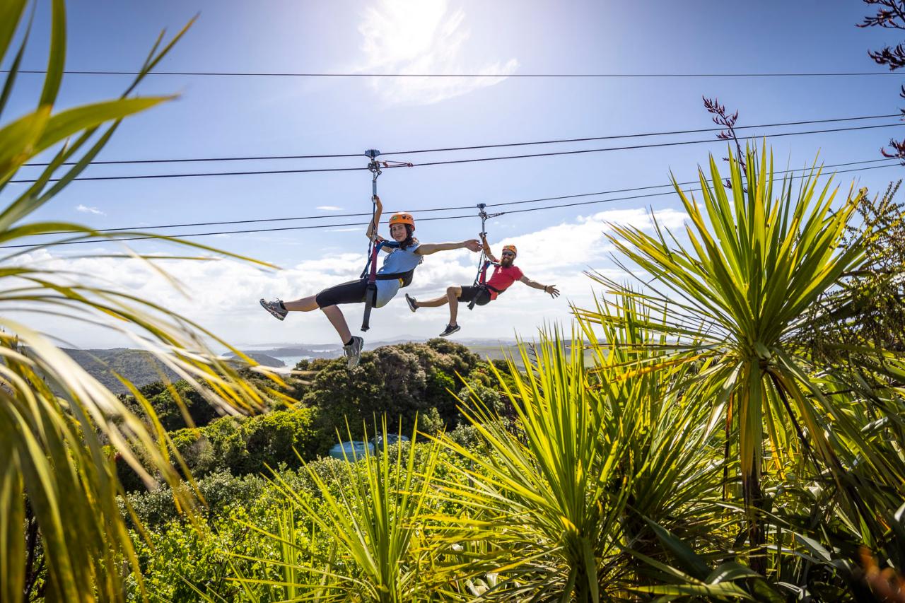 Waiheke Island Ziplining & forest walk tour 