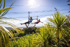 Waiheke Island Ziplining & forest walk tour 