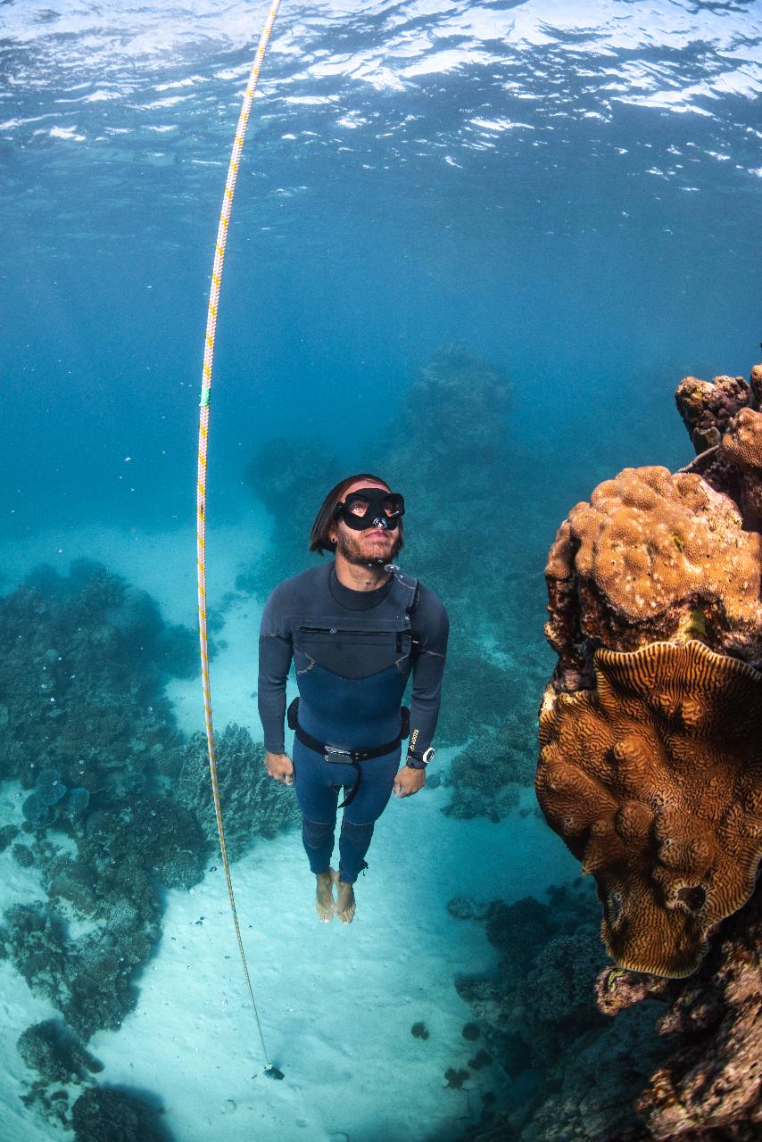 Discover Freediving (1-day course)