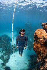 Discover Freediving (1-day course)