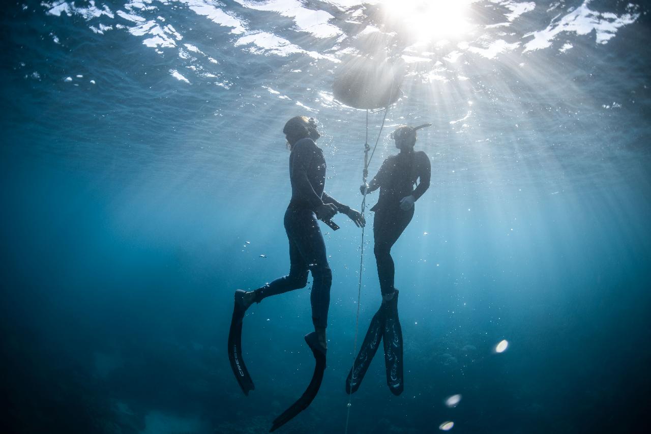 FREEDIVE NINGALOO - LEVEL 1 FREEDIVER - 3 DAY COURSE