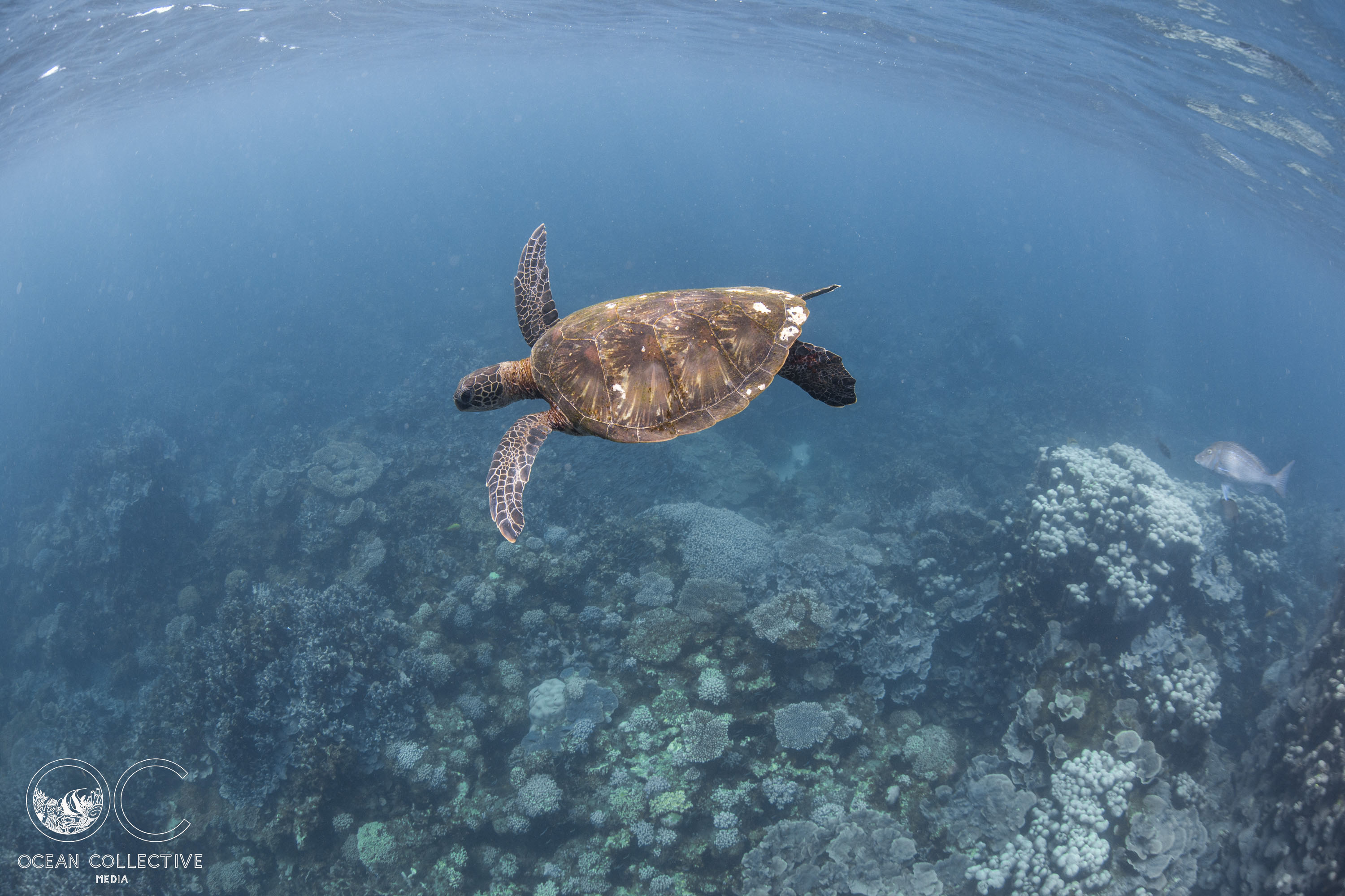 Ningaloo Nature Tour - FULL DAY