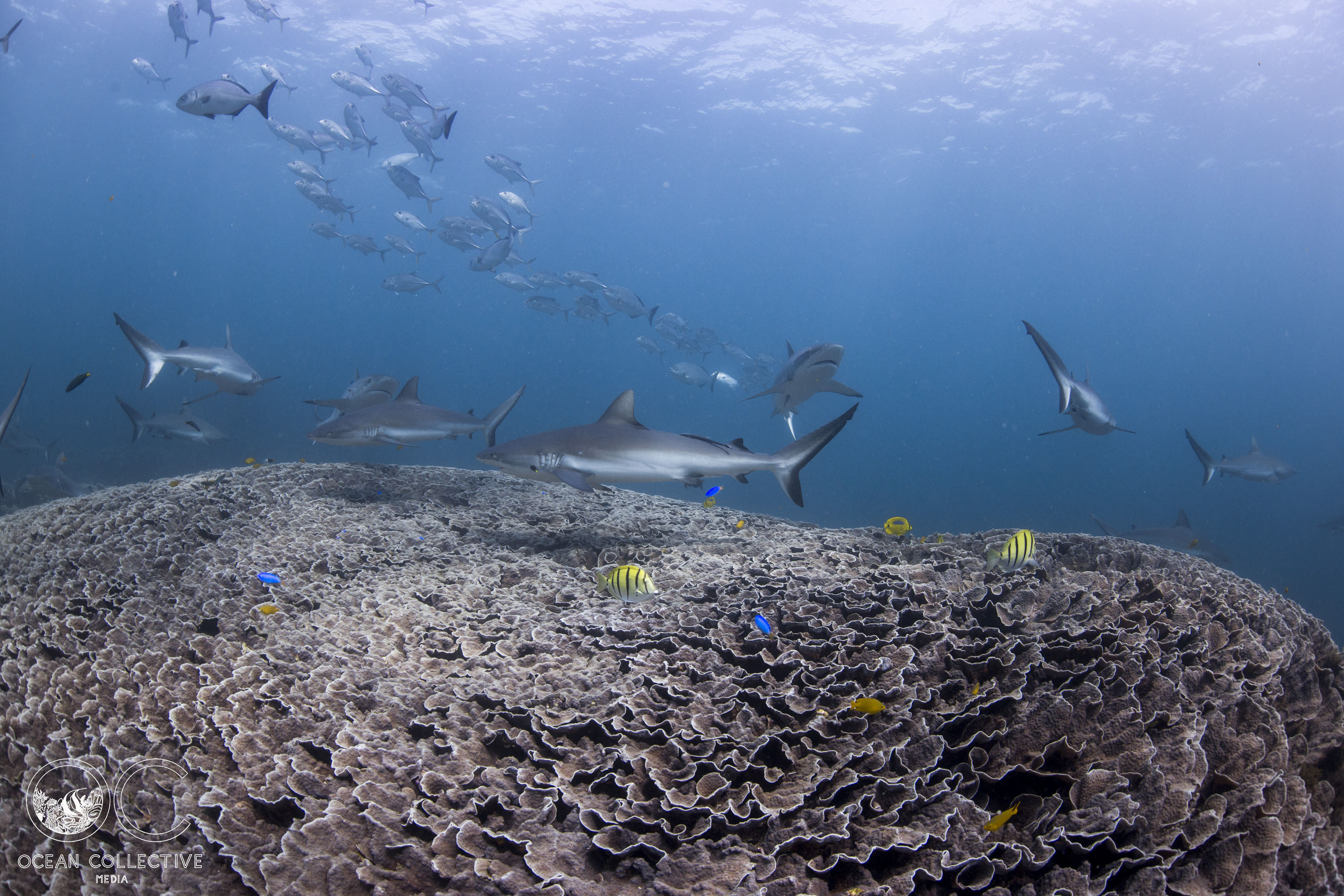 Ningaloo Nature Tour - FULL DAY
