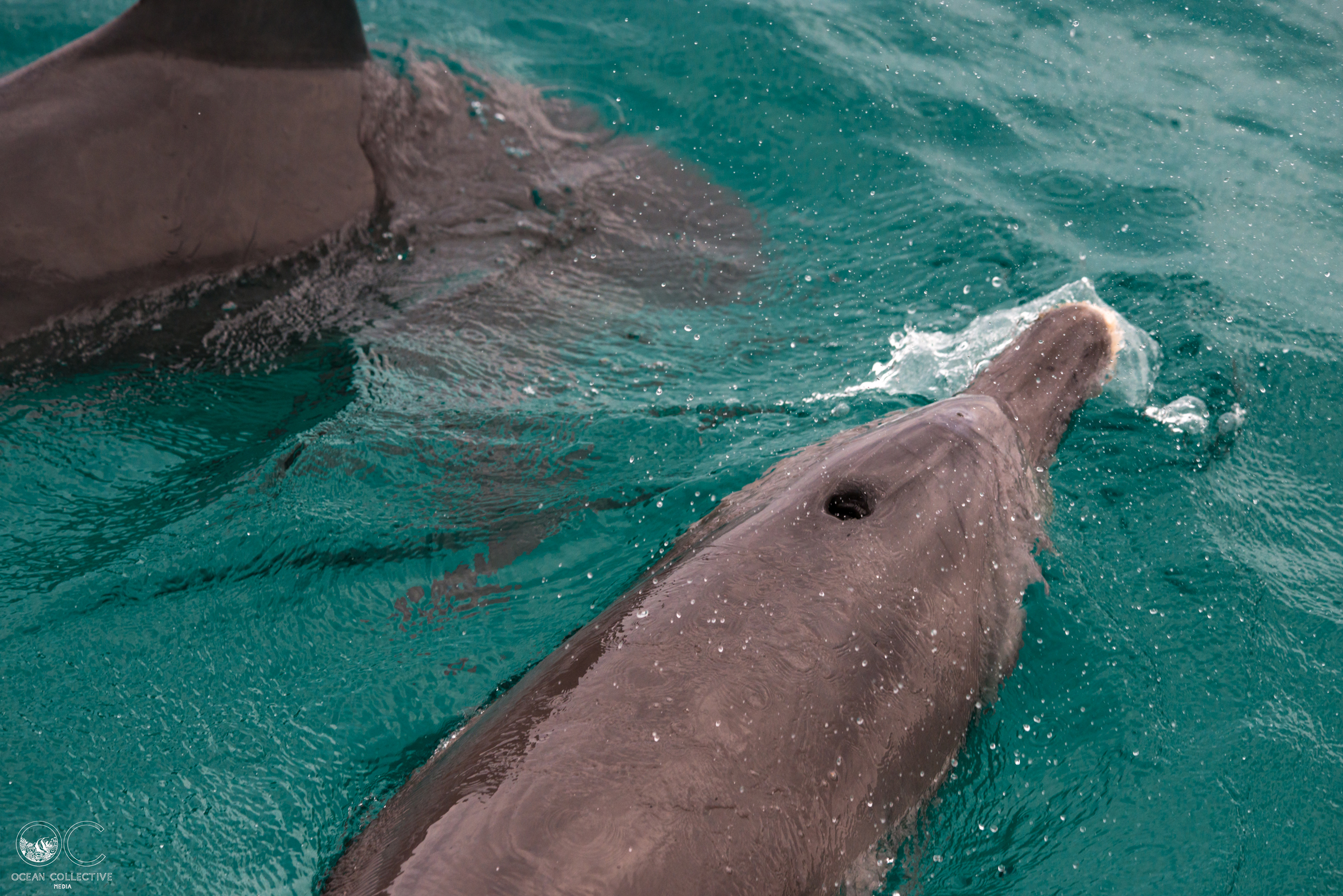 Ningaloo Nature tour - HALF DAY