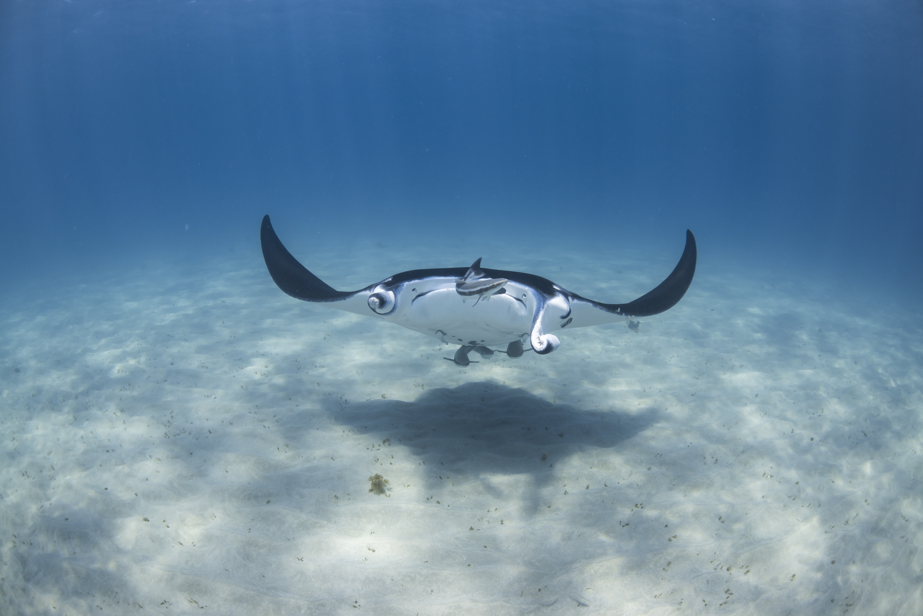 Ningaloo Nature tour - HALF DAY