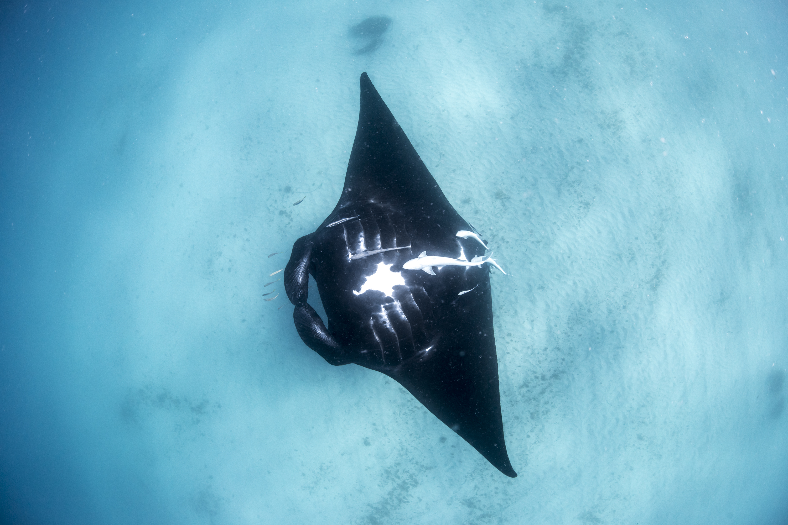 Ningaloo Nature tour - HALF DAY