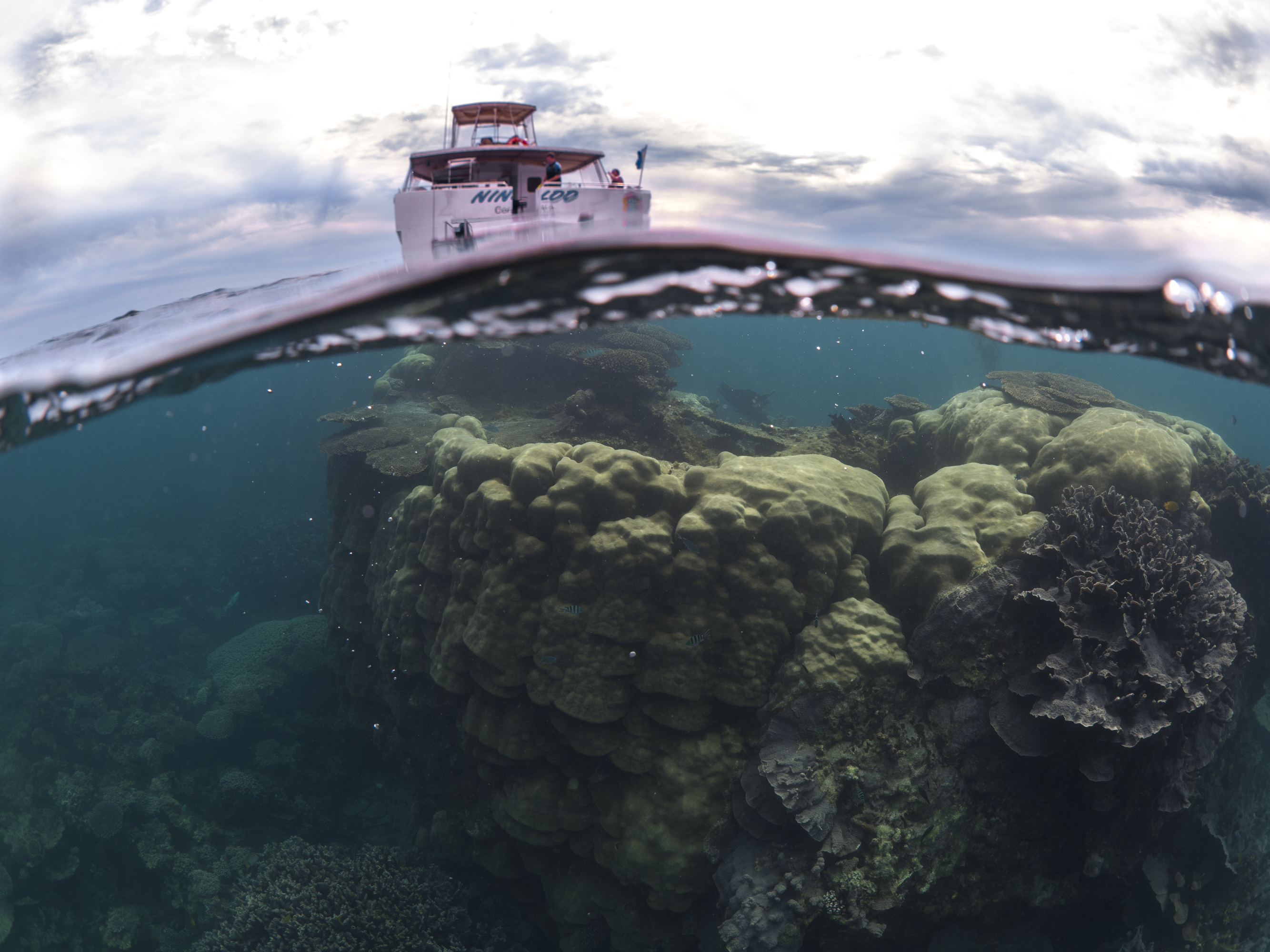 Ningaloo Nature Tour - FULL DAY