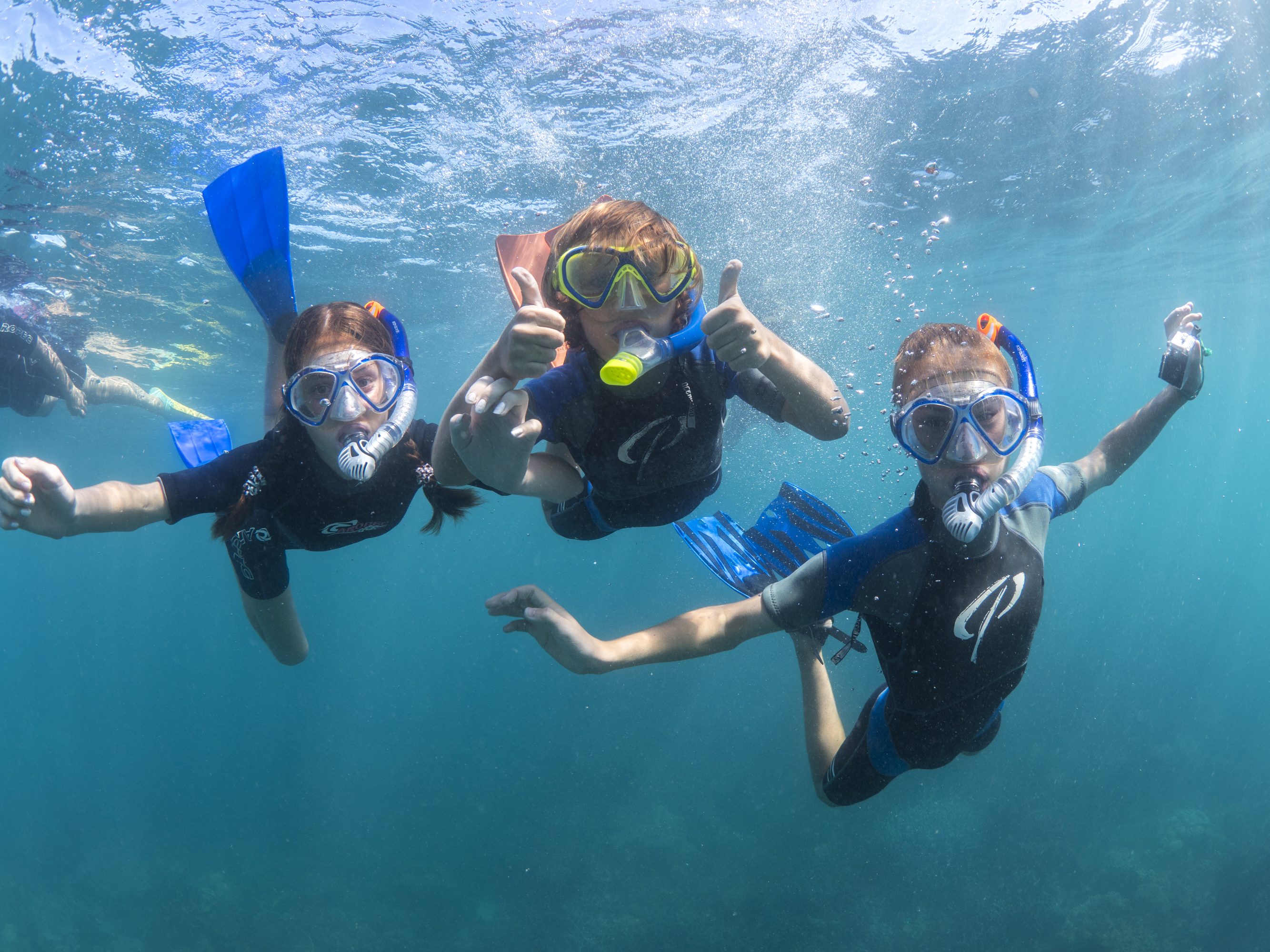 Ningaloo Nature Tour - FULL DAY