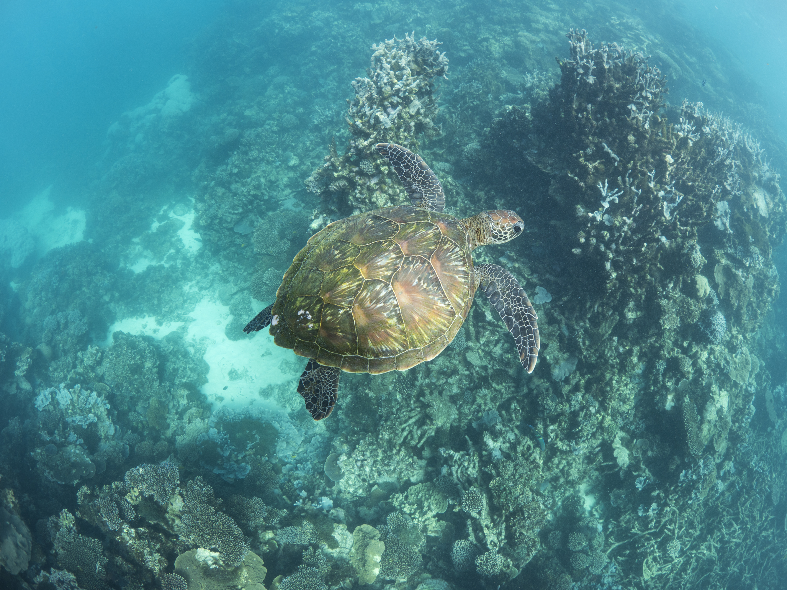 Ningaloo Nature tour - HALF DAY