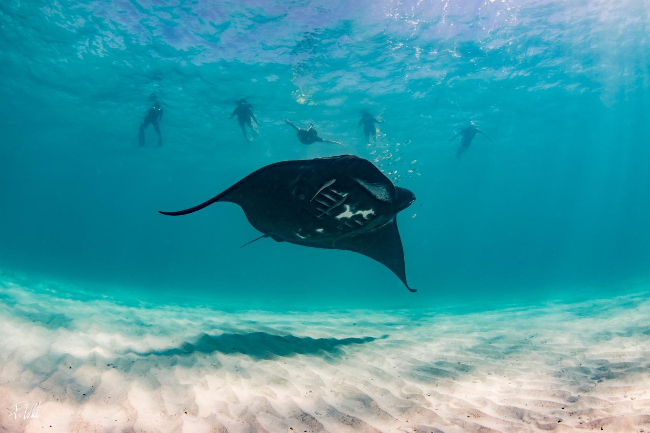 Ningaloo Nature Tour - FULL DAY