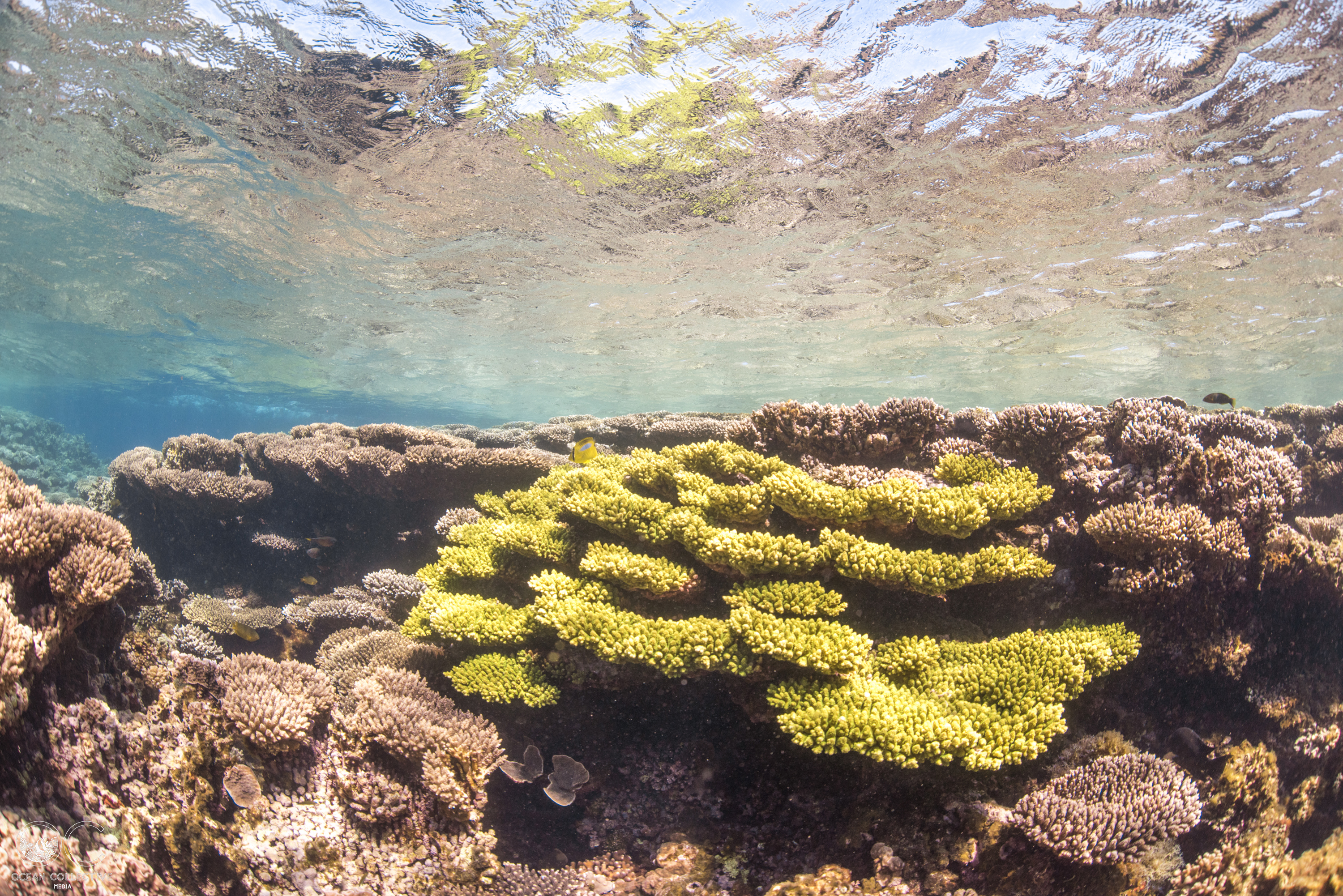 Ningaloo Nature Tour - FULL DAY