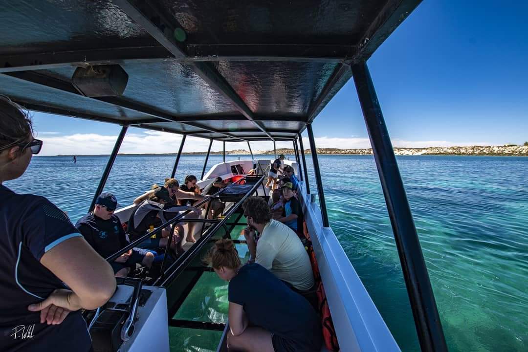 2 hour Coral Viewing & Snorkel Cruise