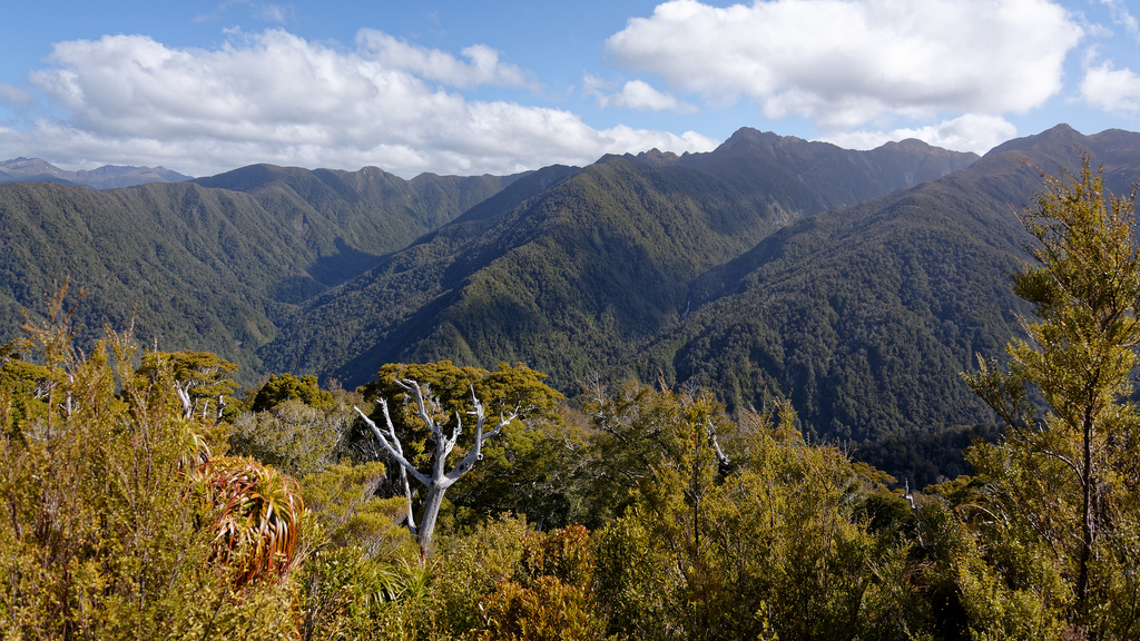 Heaphy Track Great Walk - Independant Four Day Walk