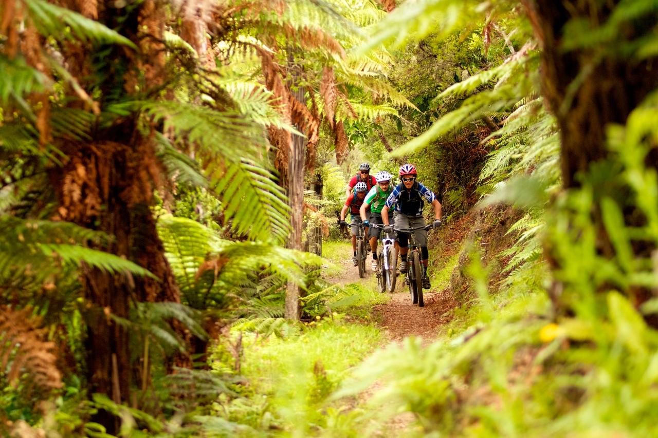 The Great Lake Trail