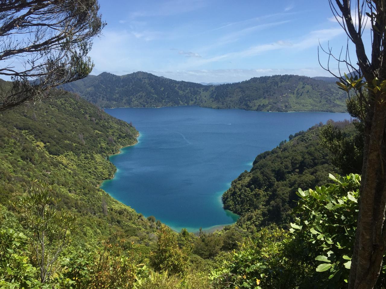 Queen Charlotte Track - Four Day Independent Walk
