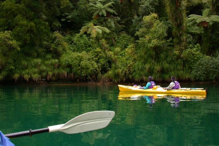 Queen Charlotte Sound - One Day Guided Kayak