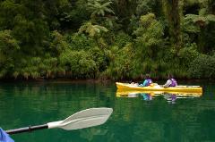 Queen Charlotte Sound - One Day Guided Kayak
