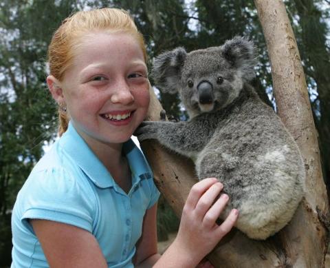 All Inclusive Small Group Blue Mountains Tour