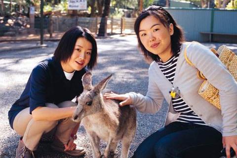 Blue Mountains, Waradah & Wildlife Park