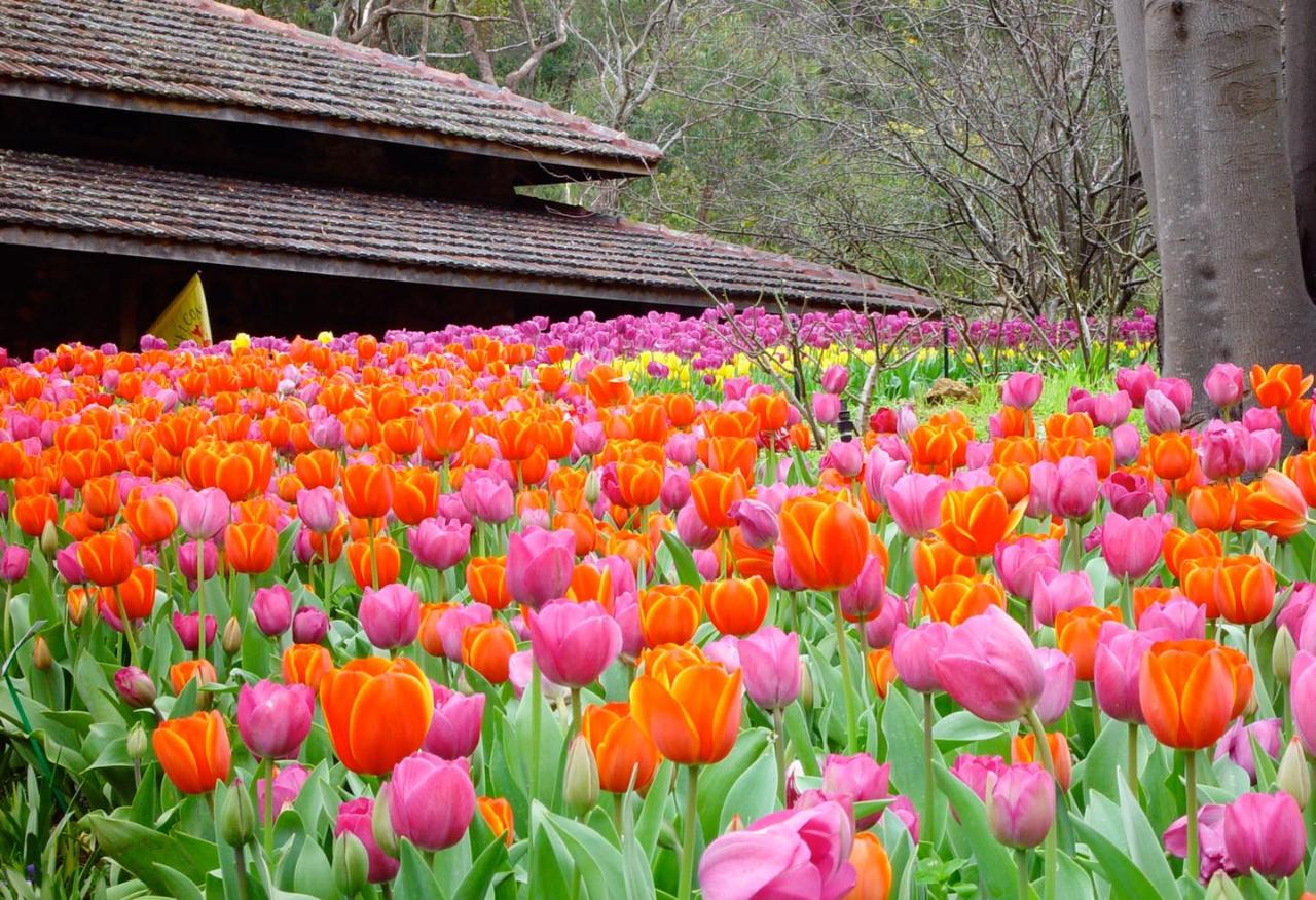 BOTANICA TOUR FULL DAY