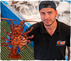 Lobster Factory Tour