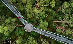 Valley of the Giants Tree Top Walk