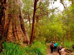 Summer Holiday Activity Program - Bibbulmun Track Ranger Walk