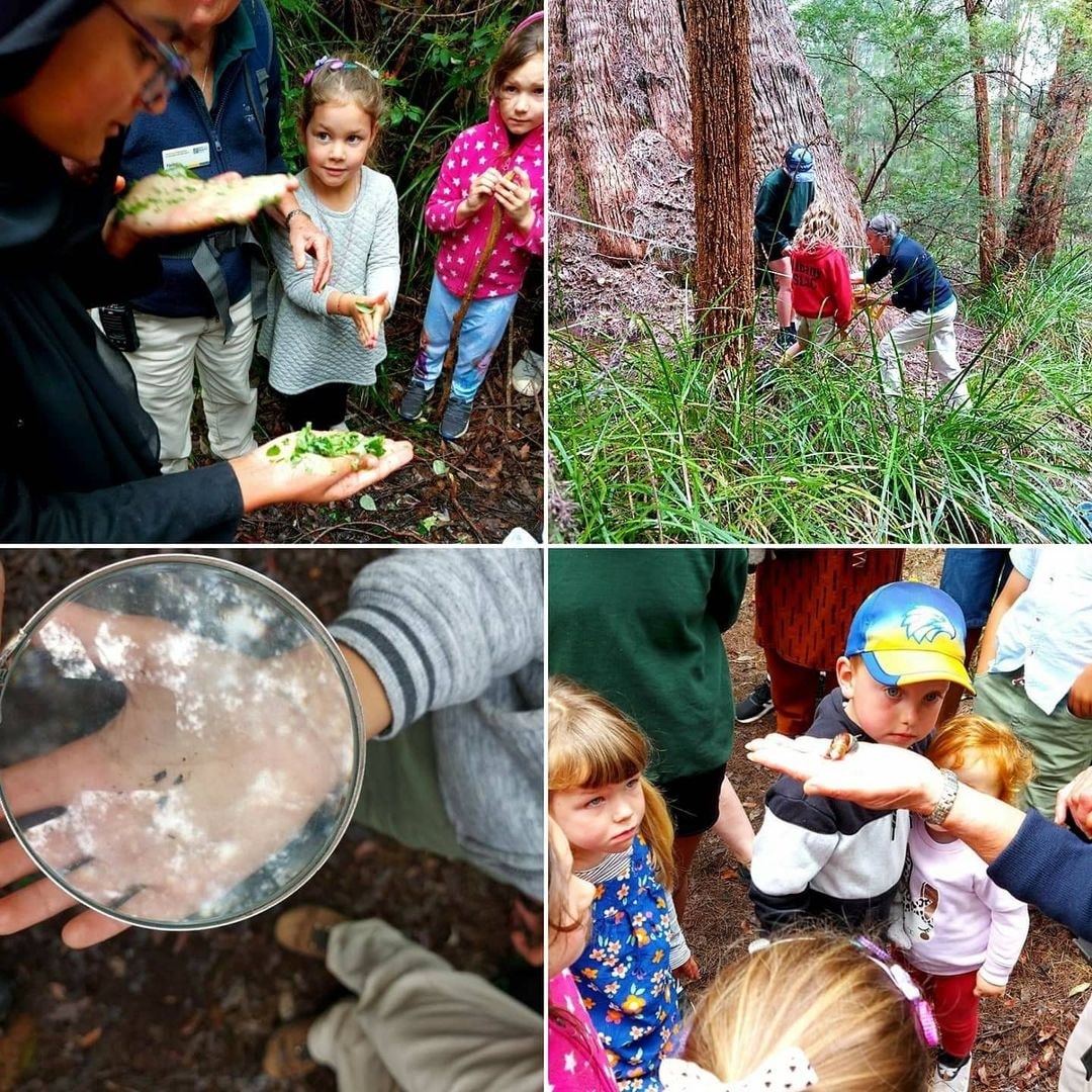 Holiday Activity Program - Kids Nature Walk