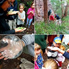 Holiday Activity Program - Kids Nature Walk